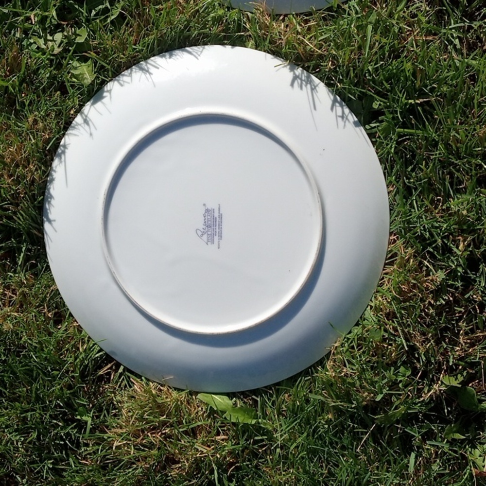 Regency Plates - Picture 7 of 8